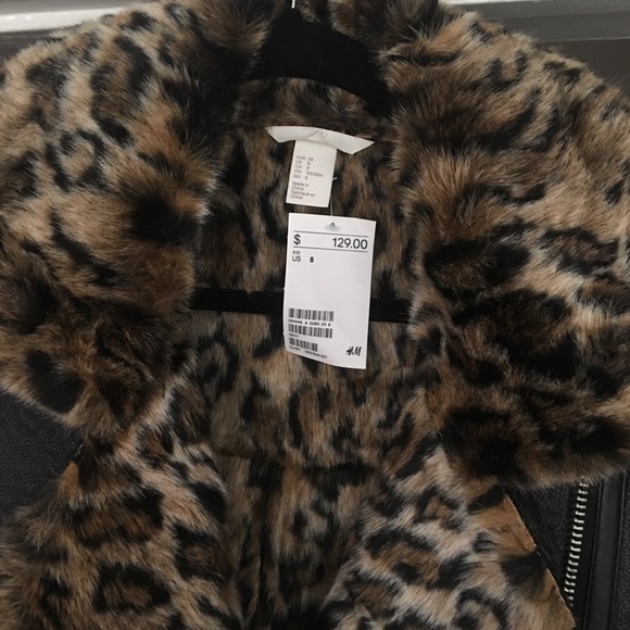 Zara Moto Shearling Jacket - Picture 5 of 5